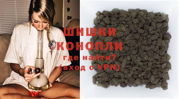 прущие грибы Баксан