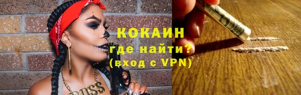 прущие грибы Баксан