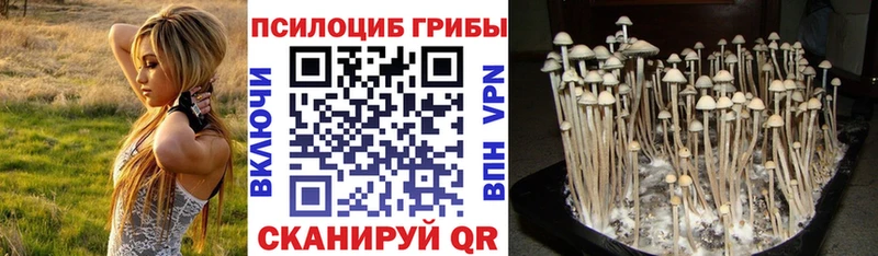 Псилоцибиновые грибы GOLDEN TEACHER ссылка на мегу маркетплейс Кстово