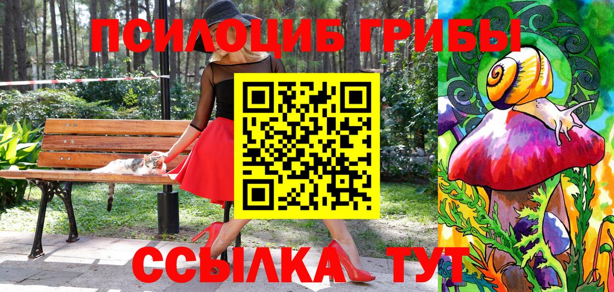 Галлюциногенные грибы Cubensis Кстово