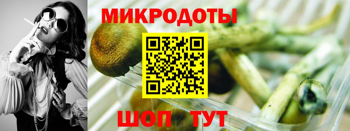 Псилоцибиновые грибы Psilocybine cubensis  Вход с VPN  Кстово  Псилоцибиновые грибы мицелий 